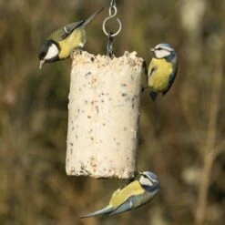 Variationspaket Mit 12 Energiekuchen 500 Ml 25 Variationspaket Mit 12 Energiekuchen 500 Ml -Vogel Verkaufe 10021 1 1 1