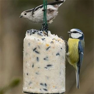 Variationspaket Mit 12 Energiekuchen 1000 Ml 9 Variationspaket Mit 12 Energiekuchen 1000 Ml – Bild 7