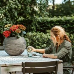 Vogel Verkaufe -Vogel Verkaufe 300410119 kofz270 2 1