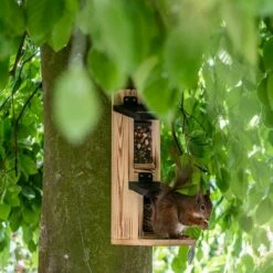 Zweistöckiger Eichhörnchen-Futterautomat „Gabriola“ -Vogel Verkaufe 303030119 jvg 7054
