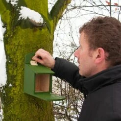 Eichhörnchen-Futterautomat ,,Alberni” -Vogel Verkaufe 30305 1 2 2