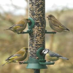 Futtersäule Kunststoff 38 Cm Grün Inklusive 1kg Futter -Vogel Verkaufe 31010 1 2 1