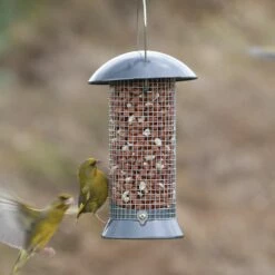 Erdnußsäule „Maximum“ 24 Cm -Vogel Verkaufe 33025 1 2