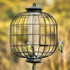 Futtersäulen-Schutz Für „Apollo“ Mit 3 Öffnungen -Vogel Verkaufe 35002 4