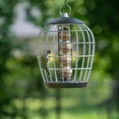 Meisenknödelhalter Mit Schutzkäfig „Aura“ 8 Meisenknödelhalter Mit Schutzkäfig „Aura“ -Vogel Verkaufe 350030119 aura fat ball feeder with guardian qm 6235