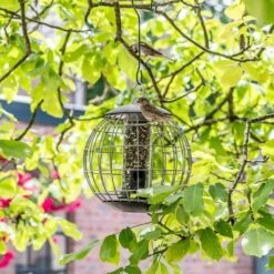 Schutz-Futtersäule Für Kleine Vögel „Athena“