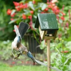 Erdnussbutterglas-Halter „Cork“ Auf Pfahl 16 Erdnussbutterglas-Halter „Cork“ Auf Pfahl -Vogel Verkaufe 35131 8