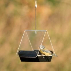 Futterhaus „Perth“ -Vogel Verkaufe 35133 2