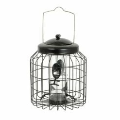 Schutz-Futtersäule Für Kleine Vögel „Brüssel“ 7 Schutz-Futtersäule Für Kleine Vögel „Brüssel“ -Vogel Verkaufe 351580119 01