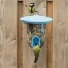 SingingFriend FeedR (Blau) 1 SingingFriend FeedR (Blau) -Vogel Verkaufe 37002 04 2