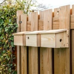 System-Nistkasten Sperling – 34mm -Vogel Verkaufe 901670120 901690120 901680120 house sparrow multi box sw low res 9474