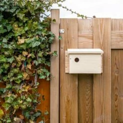 System-Nistkasten Sperling – 34mm -Vogel Verkaufe 901670120 house sparrow multi box middle 34mm sw low res 9507