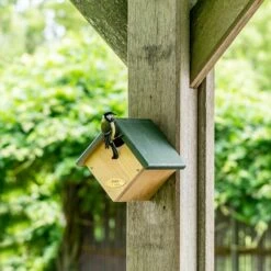 Nistkasten Für Zaunkönig „Peru“ Halboffen -Vogel Verkaufe 905010119 jvg 8394