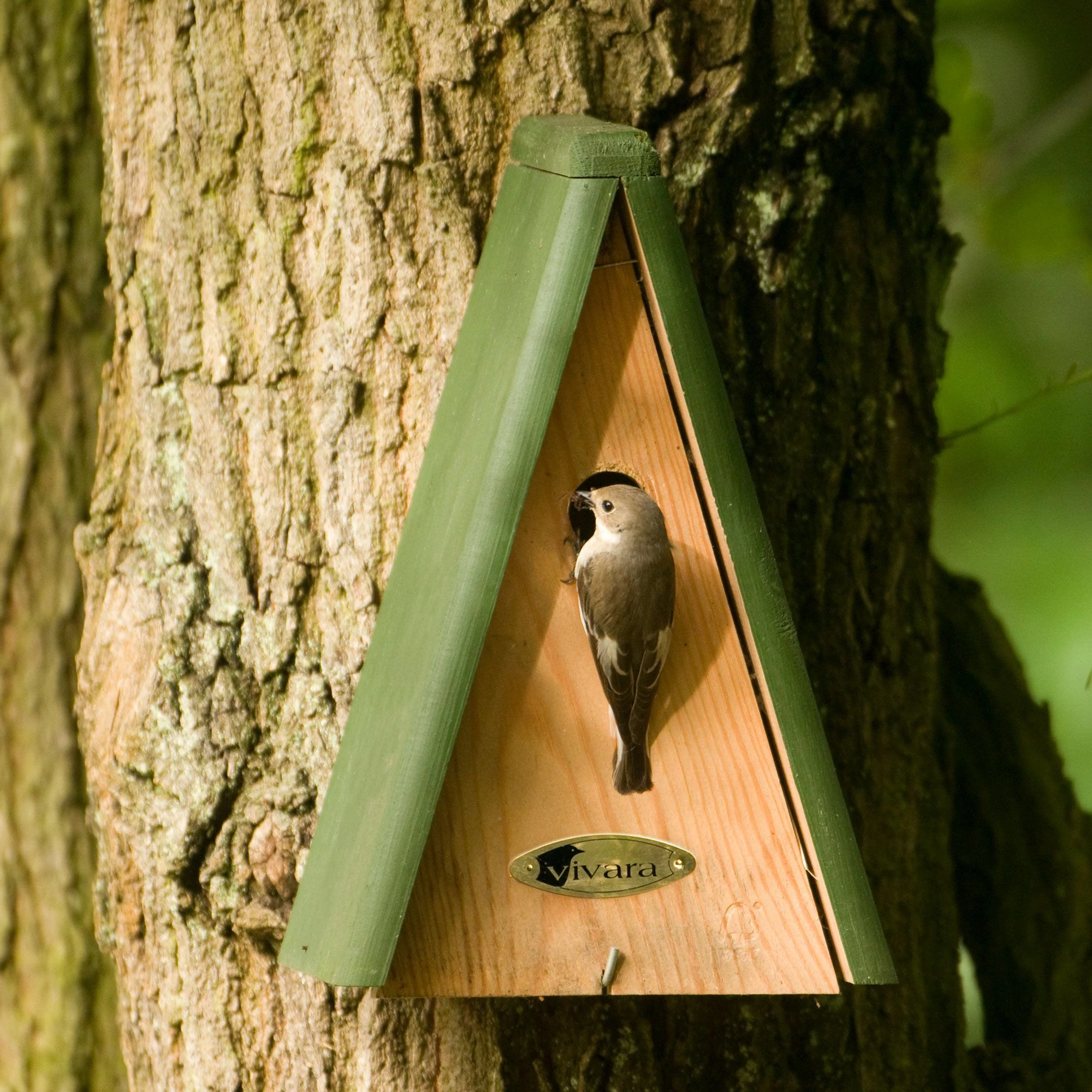 Nistkasten „Aruba“ 28 Mm 3 Nistkasten „Aruba“ 28 Mm