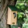 Nistkasten „San Diego“ 32 Mm -Vogel Verkaufe 90560 1