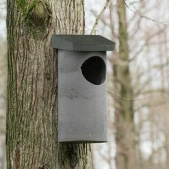 Nistkasten Waldkauz WoodStone -Vogel Verkaufe 90665 1 2
