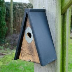 Nistkasten „Vernon“ 28 Mm 10 Nistkasten „Vernon“ 28 Mm -Vogel Verkaufe 90765 1 3 1