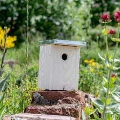 Nistkasten „Rovaniemi" Ø 32 Mm -Vogel Verkaufe 909770119 jvg 7185