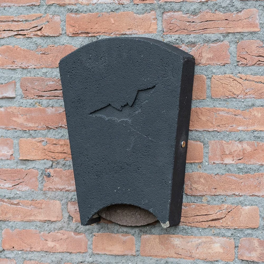 Fledermauskasten „Beaumaris“ Maxi 7 Fledermauskasten „Beaumaris“ Maxi – Bild 5