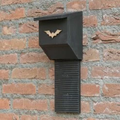 Fledermauskasten „Coucy“ 7 Fledermauskasten „Coucy“ -Vogel Verkaufe 91444 01 1