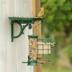 Green+ Premium Streufutter 2,5kg (biologischer Anbau) -Vogel Verkaufe 93011 5 1 2