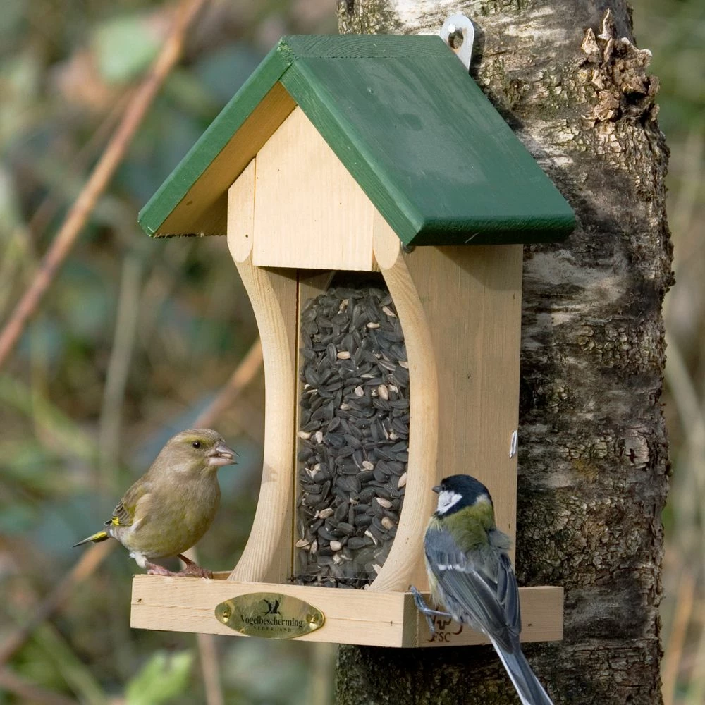 Vogel Verkaufe -Vogel Verkaufe 93024 1