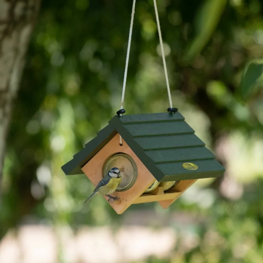 Doppelter Erdnussbutterglashalter „Lifford" 4 Doppelter Erdnussbutterglashalter „Lifford" – Bild 2