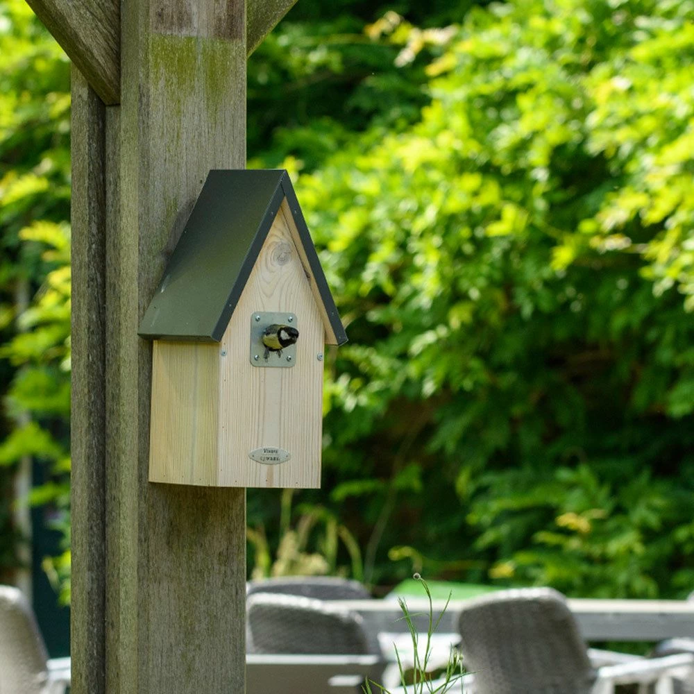 Nistkasten „Juneau“ 34 Mm 5 Nistkasten „Juneau“ 34 Mm – Bild 3