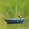 Hängende Wasserschale „Vesi” Blau 2 Hängende Wasserschale „Vesi” Blau -Vogel Verkaufe 93839 haengende wasserschale