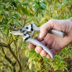 Gartenschere Klassisch