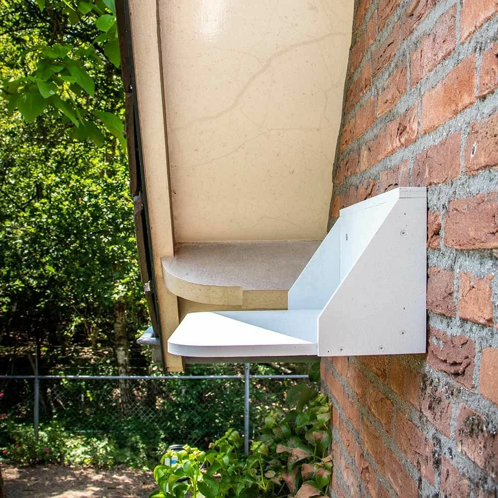 Kotbrett Für Rauchschwalben- Und Mehlschwalbennester 4 Kotbrett Für Rauchschwalben- Und Mehlschwalbennester – Bild 2