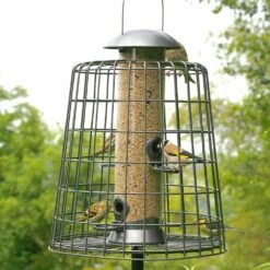 Futtersäulen-Schutz „Maximum“ Grau -Vogel Verkaufe 94549 2 1