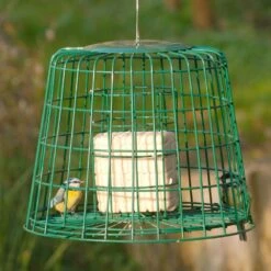 Multi-Schutzkäfig 12 Multi-Schutzkäfig -Vogel Verkaufe 94550 1