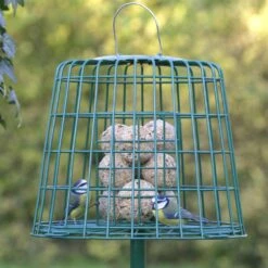 Multi-Schutzkäfig 11 Multi-Schutzkäfig -Vogel Verkaufe 94550 2