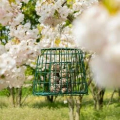 Multi-Schutzkäfig 10 Multi-Schutzkäfig -Vogel Verkaufe 945500119 multi beschermkooi 102770119 ultimate fat balls dv 0675