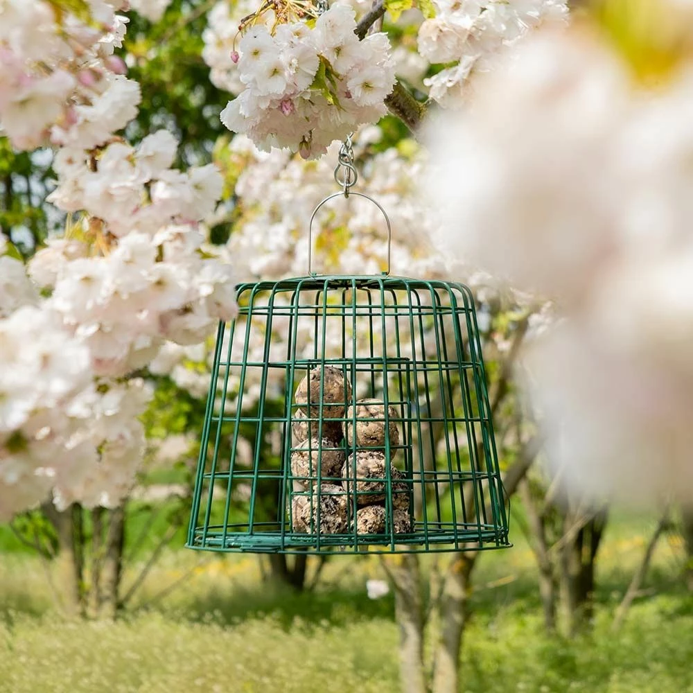 Multi-Schutzkäfig 5 Multi-Schutzkäfig – Bild 3