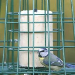 Multi-Schutzkäfig 13 Multi-Schutzkäfig -Vogel Verkaufe 94550 2