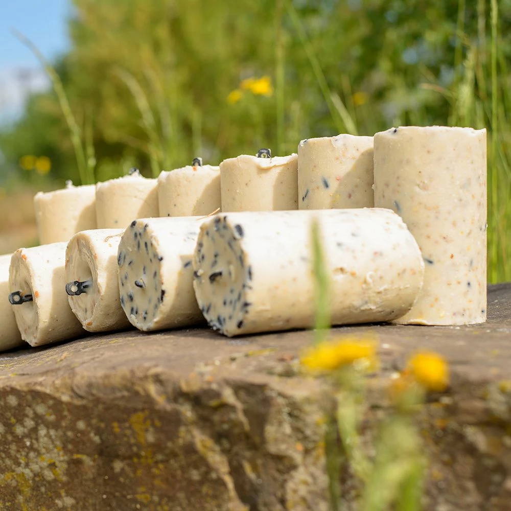 Variationspaket Mit 12 Energiekuchen 500 Ml 10 Variationspaket Mit 12 Energiekuchen 500 Ml – Bild 8