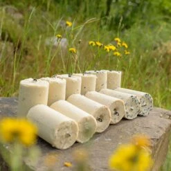 Variationspaket Mit 12 Energiekuchen 500 Ml 22 Variationspaket Mit 12 Energiekuchen 500 Ml -Vogel Verkaufe 98046 5 1