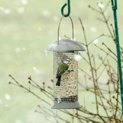 Erdnußsäule „Maximum“ 24 Cm -Vogel Verkaufe erdnusssaule maximum 24cm 33025 1 2