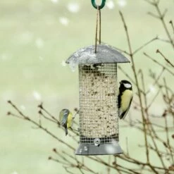Erdnußsäule „Maximum“ 24 Cm -Vogel Verkaufe erdnusssaule maximum 24cm 33025 2 2