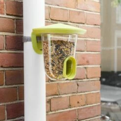 SingingFriend FeedR Grün -Vogel Verkaufe f001 drainpipe 2