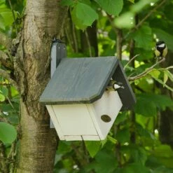 Nistkasten „Zürich“ 32 Mm 7 Nistkasten „Zürich“ 32 Mm -Vogel Verkaufe nistkasten zurich 90781 2 1