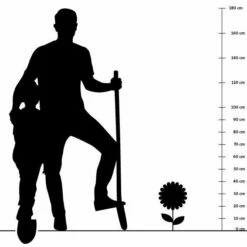 Orchideenprimel (Primula Viallii), 8 Stück -Vogel Verkaufe silhouette 40cm 11 1