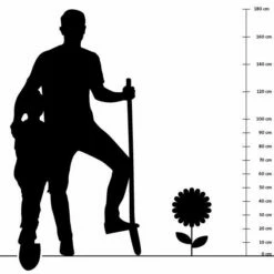 Garten-Schönaster (Kalimeris Incisa), 4 Stück -Vogel Verkaufe silhouette 50cm 1 1 1