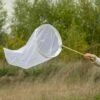 Schmetterlingsnetz Weiss 50 Cm - Aufklappbarer Bügel -Vogel Verkaufe vlindernet wit 50cm 97089 02